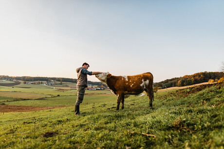 Aussie company to help reduce methane in EU cattle Aussie company to help reduce methane in EU cattle
