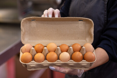 Australians back egg industry amid biosecurity concerns