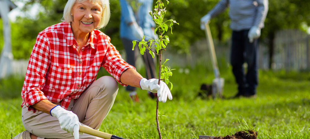 Orange aged care residents plant their own pocket forest
