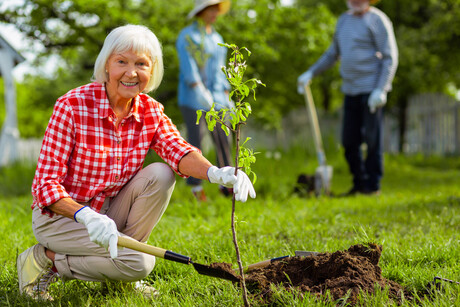 Orange aged care residents plant their own pocket forest