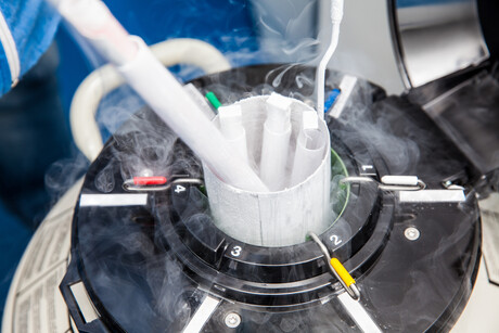Safeguarding Cryopreservation: When Failure Is Not an Option
