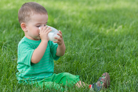 FSANZ to review regulation of toddler milk