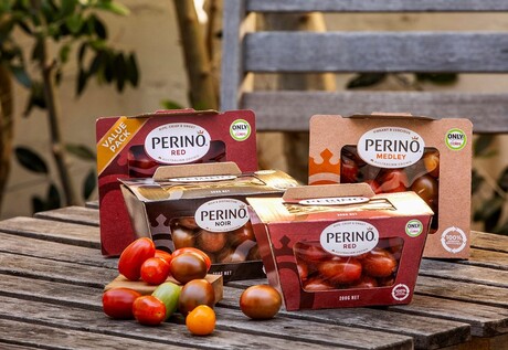 Recyclable cardboard punnet for tomatoes being trialled in Vic Recyclable cardboard punnet for tomatoes being trialled in Vic