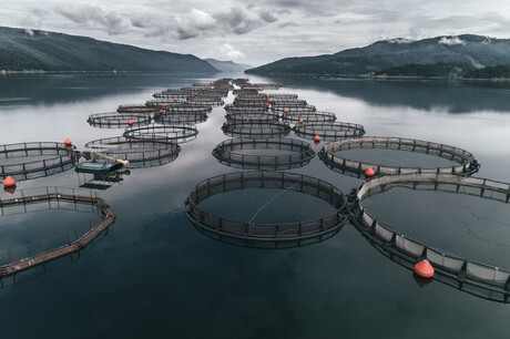 Designing a robust cable for aquaculture