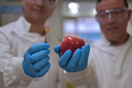 Freshness and nutrition check for fruit &amp; veg