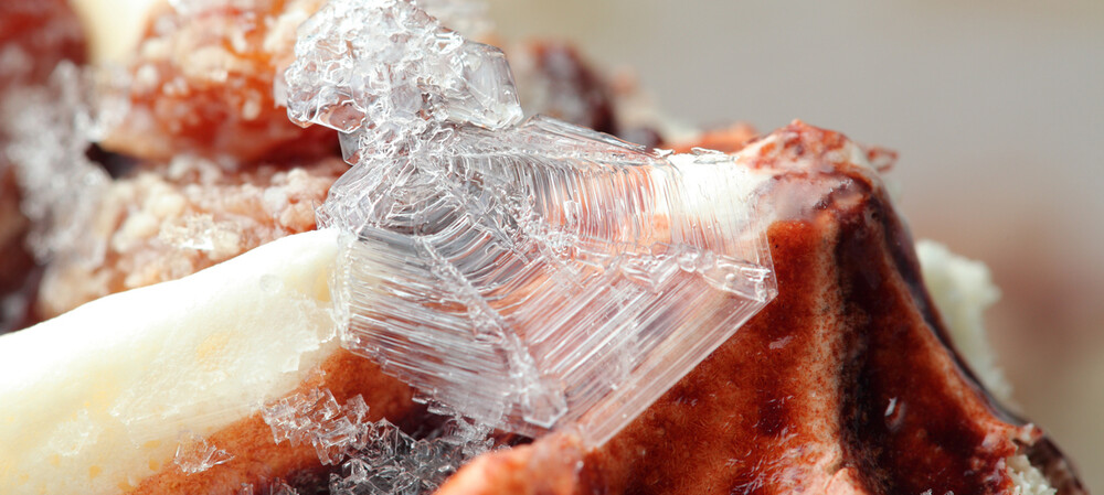 Developing a &#39;natural antifreeze&#39; to prevent freezer burn