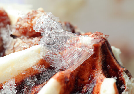 Developing a 'natural antifreeze' to prevent freezer burn Developing a 'natural antifreeze' to prevent freezer burn