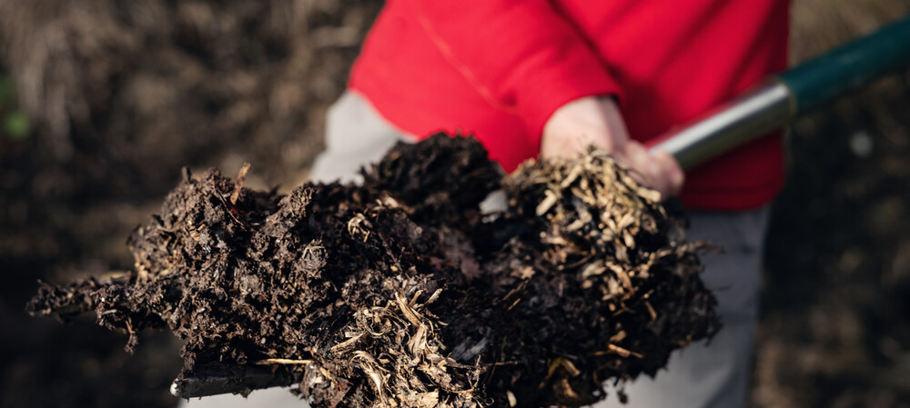 Animal waste material to treat wastewater