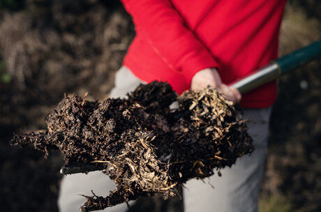 Animal waste material to treat wastewater