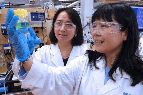 Ammonia emissions in wastewater treatment higher than expected: research