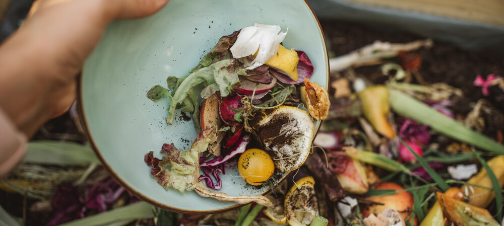 Scientists find new uses for veggie waste