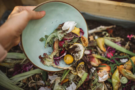 Scientists find new uses for veggie waste