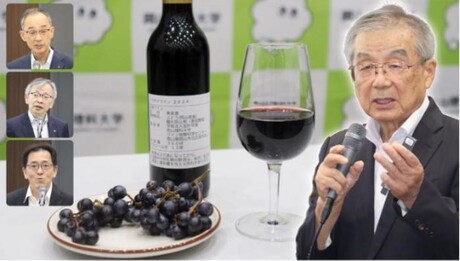 Wild Japanese fruit used in new wine grape variety