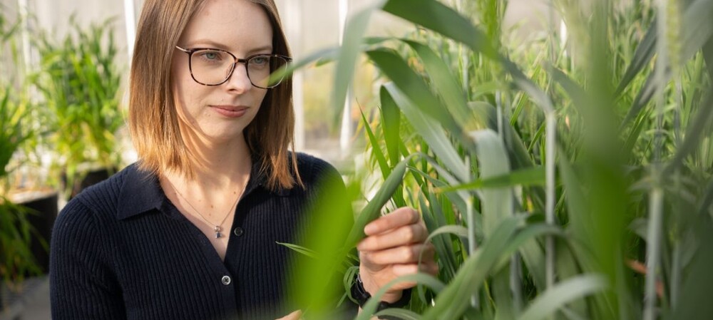 Nature-inspired filtration system recovers critical resources