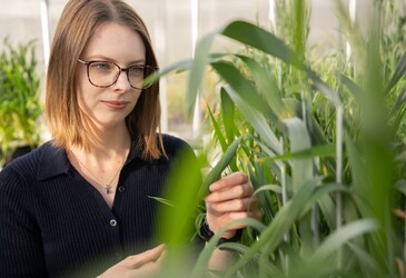 Nature-inspired filtration system recovers critical resources