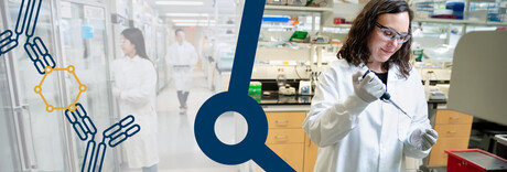 De-Risk and Streamline Antibody Pair-Based Immunoassay Development De-Risk and Streamline Antibody Pair-Based Immunoassay Development