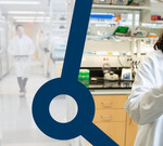 De-Risk and Streamline Antibody Pair-Based Immunoassay Development