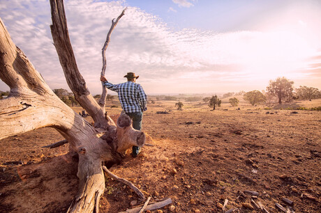 AI may help Australia prepare for hotter, drier summers AI may help Australia prepare for hotter, drier summers