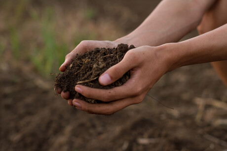 Carbon farming event set to unlock soil data for farmers Carbon farming event set to unlock soil data for farmers