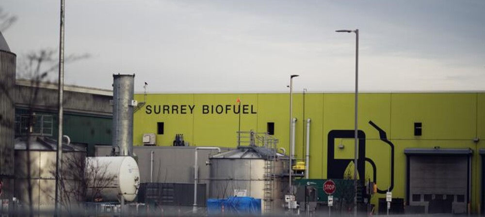 Microbes turn food waste into energy