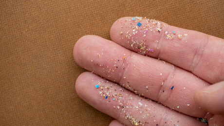 Microplastics found to alter the human gut microbiome Microplastics found to alter the human gut microbiome