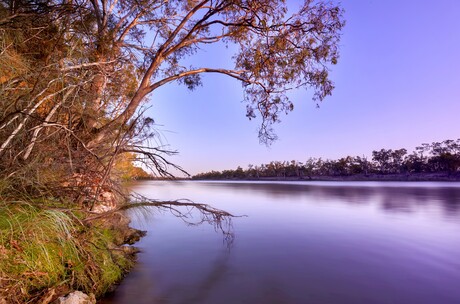 Aussie winery marks World Sustainability Day Aussie winery marks World Sustainability Day