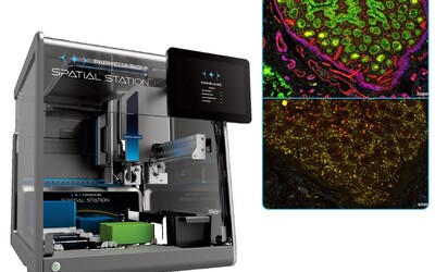 Parhelia Spatial Station for all-in-one spatial biology workflow automation