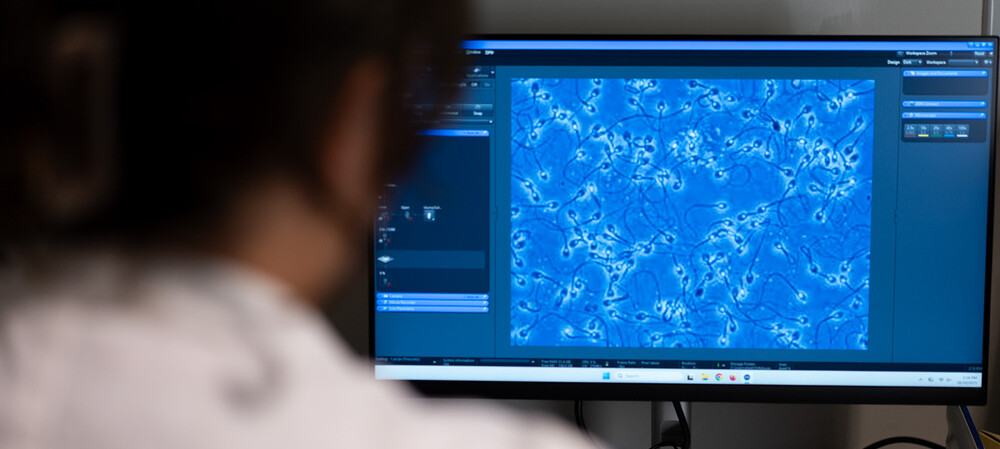 Reproductive impacts of PFAS exposure revealed