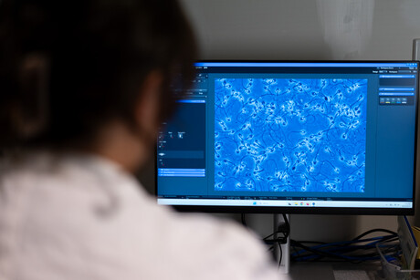 Reproductive impacts of PFAS exposure revealed Reproductive impacts of PFAS exposure revealed