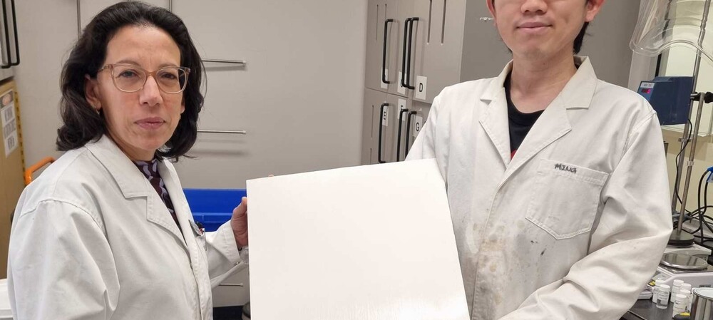 Cooling paint harvests water from thin air