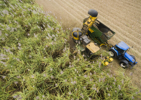 Researchers to create &#39;affordable&#39; jet fuel from plant waste