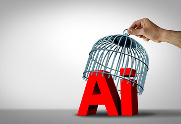 Avoiding common pitfalls in public sector AI adoption