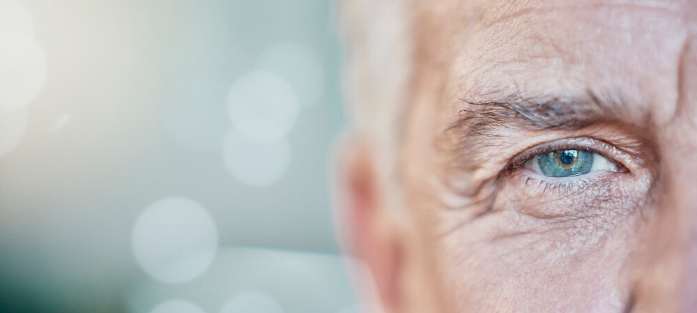 What might the eyes tell us about aging and cardiovascular risk?