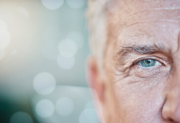 What might the eyes tell us about aging and cardiovascular risk?