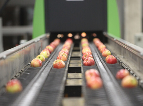 $340K enforceable undertaking follows conveyor belt injury