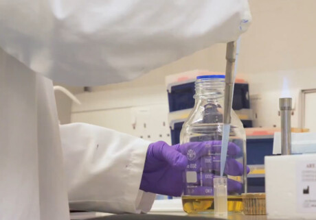 Antibiotic for drug-resistant bacteria found in plain sight