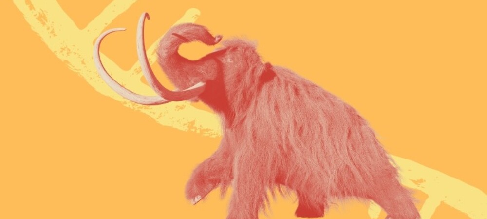 World&#39;s oldest known RNA extracted from woolly mammoth