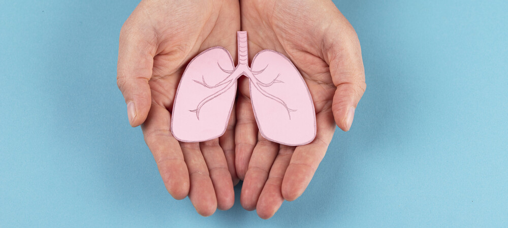 Mini lung organoids could help test new treatments