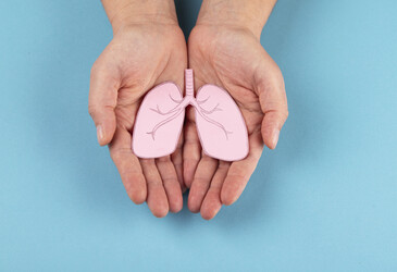 Mini lung organoids could help test new treatments