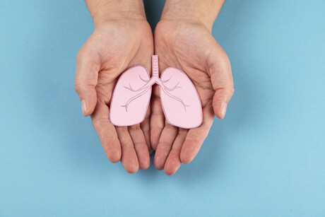 Mini lung organoids could help test new treatments