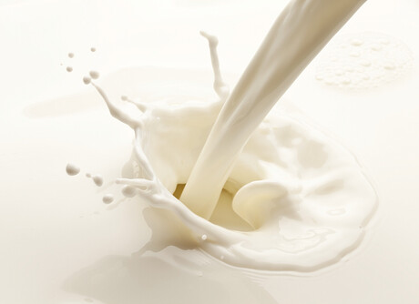 Market report reveals a deepening oversupply of dairy