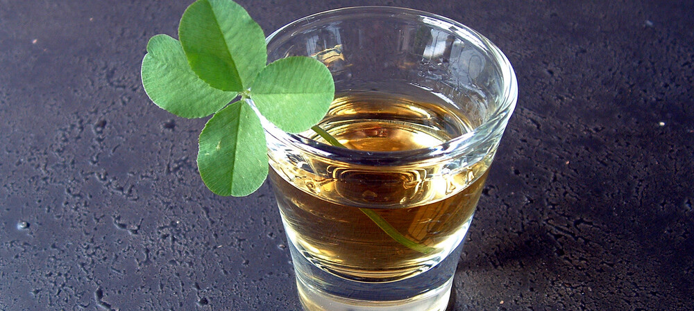 Irish drinks manufacturer takes its supply chain to the next level