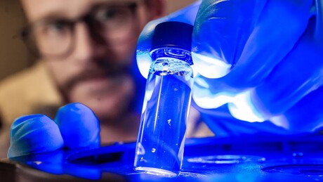 Electrodes created with light