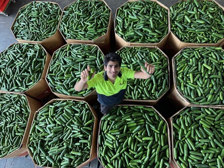 Funky Food wants your imperfect surplus of fresh produce