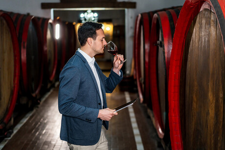 Lighting up wine spoilage in real time with novel biosensor