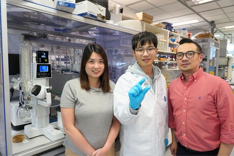 Molecular Velcro coating boosts solar cell efficiency