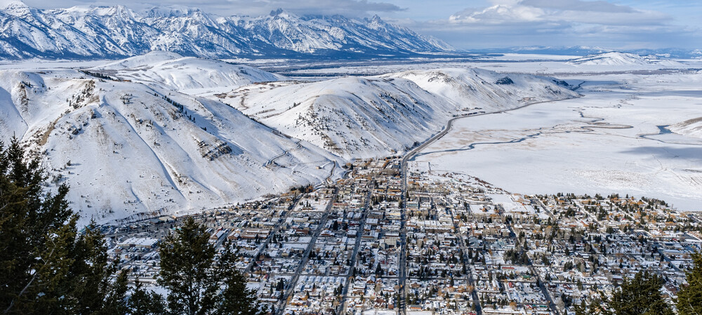 A scientist, a cooler and a long-haul flight in the fight against MND