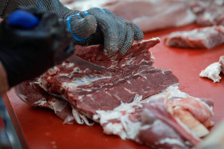 562 improvement notices issued as WA 'sharpens' abattoir safety