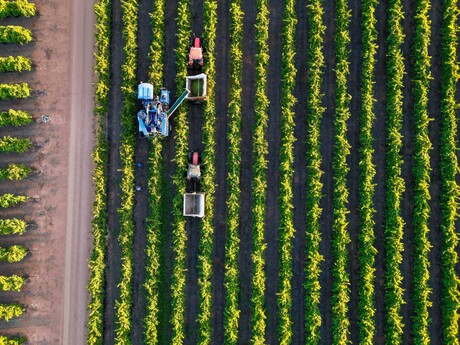 $15m AI space project to help boost Australian agriculture