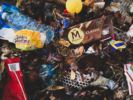 The Magnum Ice Cream Company partners with Seabin for wrapper clean-up